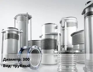 Компенсатор 300 Ру16 трубный
